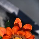 [덕계] DSLR 순간의 시선을 담다 | 여름을 담다 by 니콘 DSLR D7500