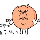 금부농원 네이버블로그