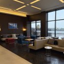 호텔더본제주 | 제주 서귀포 호텔 더본 솔직 후기 (트리플룸·조식 탐모라·맛집까지 완벽 정리)