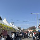 전농로의오후 | 전농로 벚꽃축제 후기 ,벚꽃 없고 닭꼬치만 먹고 온 날