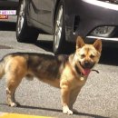 반야농장 이미지