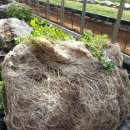 수경농장 이미지