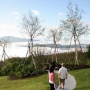 구름위산책 - 가평군 운악청계로 238-38 | 구름위산책