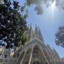 반일코스 이미지