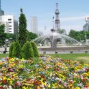 더:행복한여행사