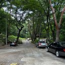 비슬산1호매점 | {대구 근교 가볼만한곳} 마음이 편안해지는 달성군 비슬산 용연사, 주차 정보 및 힐링 산책 코스