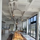 시엘로(cielo) | [전남 곡성] 카페 씨엘로 957 천국의계단 전라남도 여행지 백련저수지 핫플