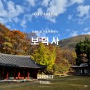 영월 보덕사 목조아미타삼존불좌상 | 강원도 영월 가을 사찰 여행 단풍 명소 보덕사