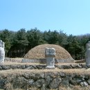 송산조견선생묘 이미지