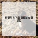 예술 영화 감상 이미지