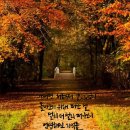 로만티카 이미지