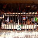 [이색교도소] 필리핀 - 사우스코타바토 교도소 이미지