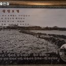 4735 | 제주갈치 충민정 제주도 갈치조림 맛집 추천 쉬는날 주차 안내