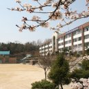 대전대화중학교 이미지