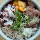맛이담긴항아리 | 속초 물회 맛집 필수코스 항아리물회 내돈내산 솔직후기