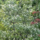 헤라(HERA) 이미지