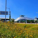 인천국제공항 1 터미날 이미지