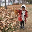 코튼박스