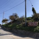 온천원탕모텔 이미지