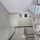 강남조명 | 신사역 셀프사진관 퍼즈포즈 후기, 컬러풀한 조명으로 찍는 강남 셀프사진관 추천