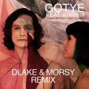 Gotye - Somebody That I Used To Know 이미지