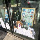 아띠그루밍 이미지