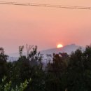 제주무릉도원집 이미지