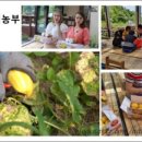 수미농장 이미지