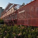 뚝섬한강공원-18 이미지