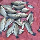 행운낚시터 이미지