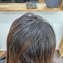 텔리뷰티 이미지