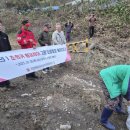 황금장어 이미지