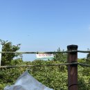 노루생태관찰원 | 제주 동쪽 거친오름 / 노루생태관찰원 이용가격, 주차 방문 후기