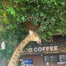 주커피경북왜관점 이미지