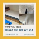 준명품세탁 | 매트리스 아이 아기 오줌 냄새 제거_용인시 수지구 아파트 습식 청소 후기