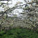 서림농원 이미지