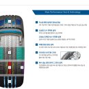 양덕동265 이미지