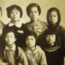 관청초등학교 이미지