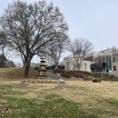 영남대학교 자연박물관 이미지