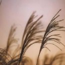 바람소리