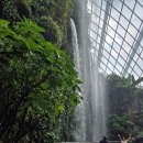 공룡의숨결 | 싱가포르 가든스 바이 더 베이 클라우드 포레스트&amp;플라워 돔&amp; 쥬라기 월드 관람 후기