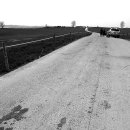 유연목장 이미지