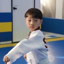 SOO태권도장 | 개포동태권도, 인생 체육관 찾는 방법 궁금하신 분 클릭