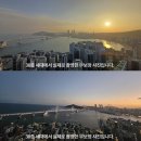 테넌바움294 이미지