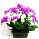 우진카케어 이미지