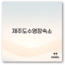 더쉼팡 민박 | 제주도 수영장 숙소 아이랑 가성비 독채 호텔 추천 완벽 정리