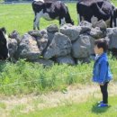 아침목장 이미지