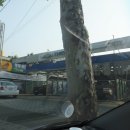 한국지엠수성바로서비스 이미지