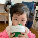 멍멍타요 이미지