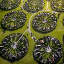 모여봐요 과학의 숲 이미지